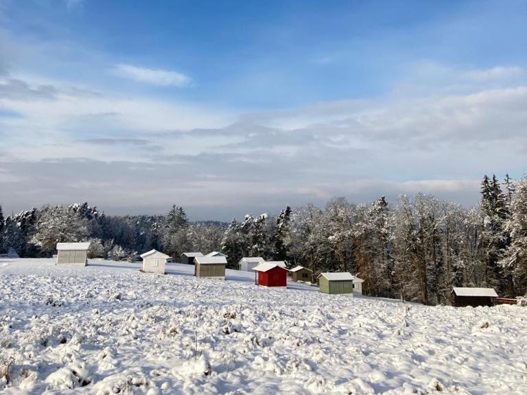 Maly Oslov Glamping Hotel Kültér fotó